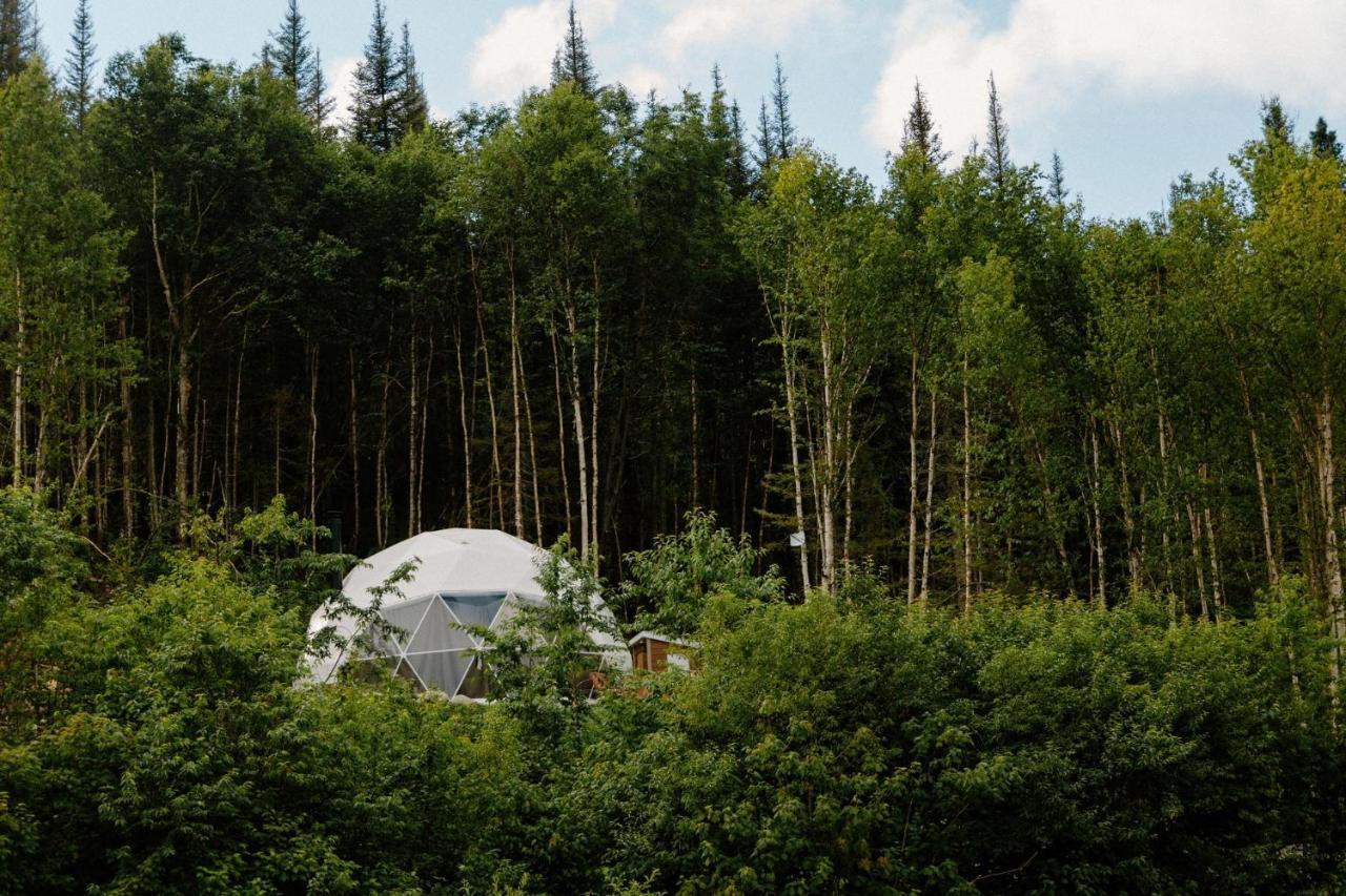 Les Diamants De L'Eternel Daire Saint-David-de-Falardeau Dış mekan fotoğraf